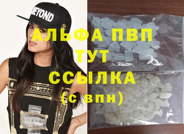 молекула духа Карпинск