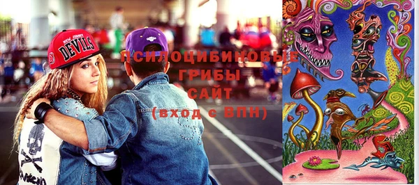 молекула духа Карпинск