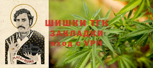 молекула духа Карпинск