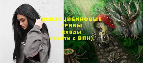 jwh Касимов