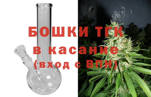 ПСИЛОЦИБИНОВЫЕ ГРИБЫ Карталы