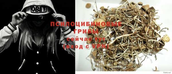 ПСИЛОЦИБИНОВЫЕ ГРИБЫ Карталы