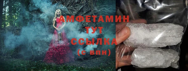 молекула духа Карпинск