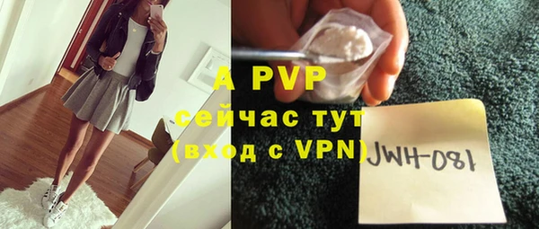 молекула духа Карпинск