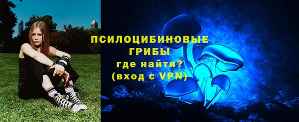 молекула духа Карпинск