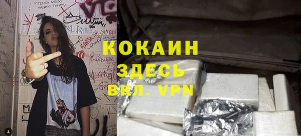 ПСИЛОЦИБИНОВЫЕ ГРИБЫ Карталы
