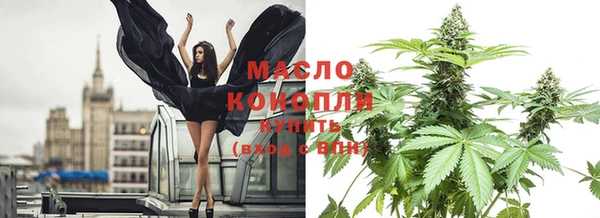 молекула духа Карпинск