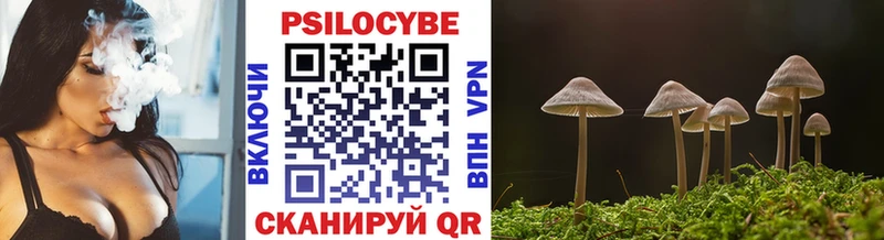 Галлюциногенные грибы Psilocybe  Купить  Дмитровск 